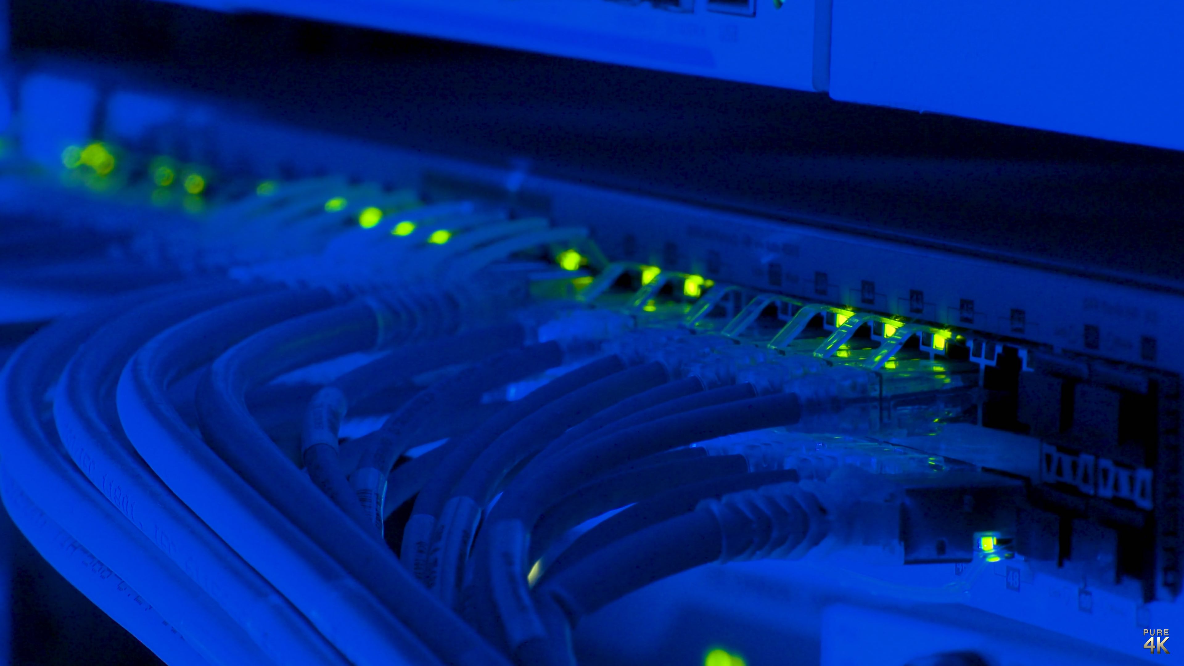 Pure4K - Website Back-Up Best Practices Services