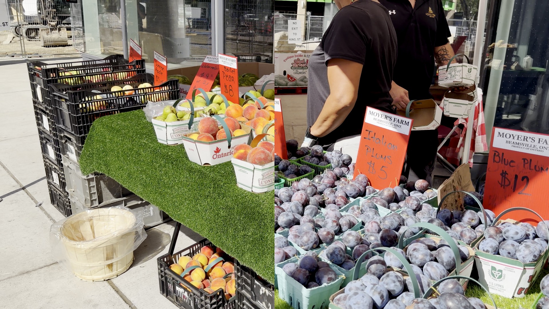 St. Lawrence Farmers Market Saturday Mornings Plums Sold Outside